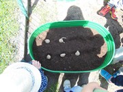 Zahrádka ve školce